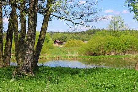 河对岸红房子的景象夏图片