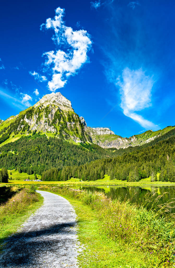 瑞士阿尔卑斯山奥伯西湖布伦尼图片