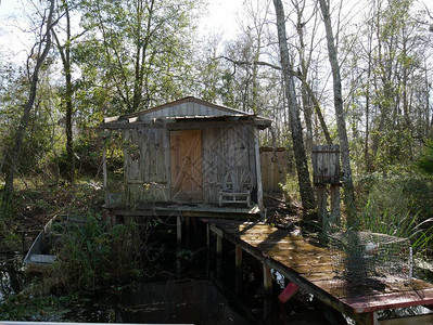 在路易斯安那巴尤沼泽地的老木屋有图片