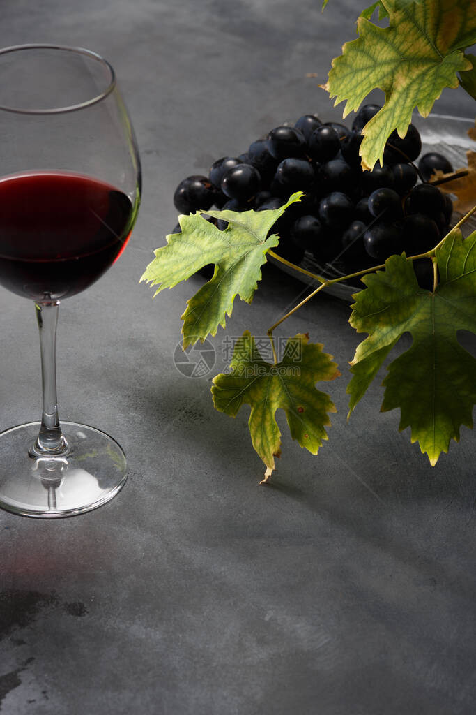 红酒和葡萄葡萄酒和葡萄在图片