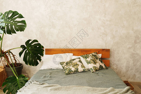 室内床铺和带植物图片