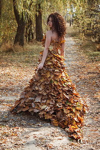 秋天早上秋天女孩在树林里散步的年轻女孩穿图片