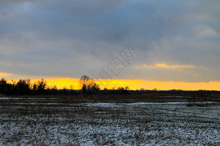 冬天草地上的落日图片