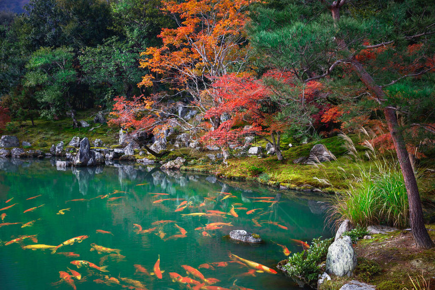 秋天的风景背日本图片