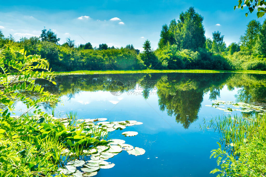绿林中的蓝湖春天的自然景观图片