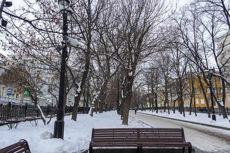 冬天在有长椅和树木的公园里下雪图片
