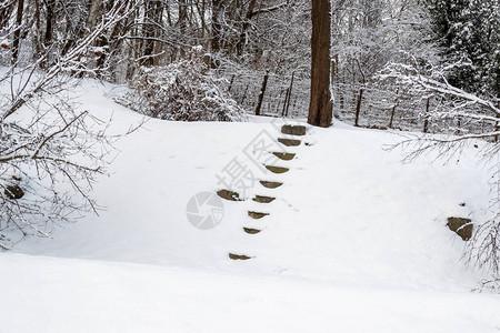冬季公园雪中的楼梯图片