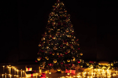 以圣诞树松为背景在夜房内部以花环灯图片