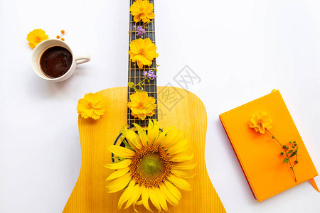 热可吉他和黄色花朵宇宙生活方式向日葵背景白色的平板布饰图片