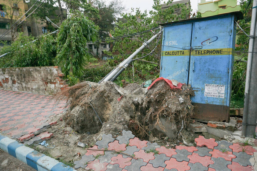 超级气旋Amphan连根拔起的树图片