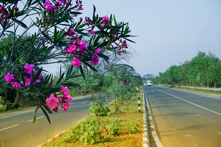 印度高速公路图片