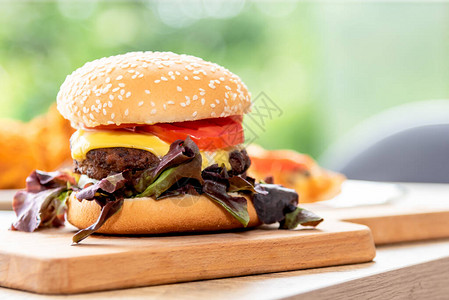 汉堡包由新鲜蔬菜肉类面包组成图片
