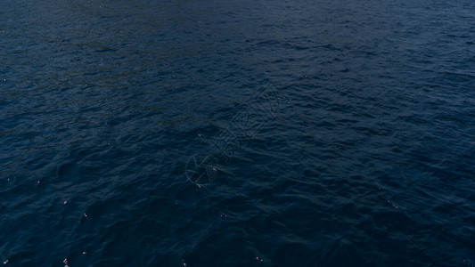 夜晚的海浮游生物在海洋中闪耀图片