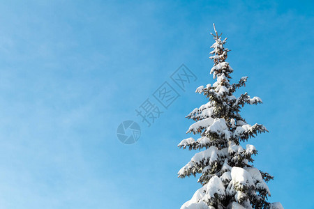 在零下25摄氏度以下的霜冻期间带高清图片
