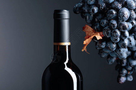 未开瓶的红葡萄酒和湿深蓝葡萄图片
