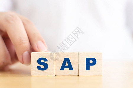 企业管理软件SAPERP机构资源规划系统概念单图片