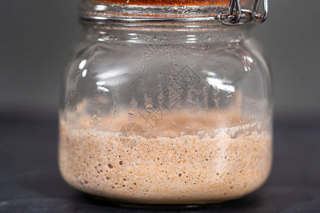 玻璃梅森罐中的自制小麦酵母发酵剂图片
