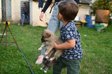 孩子怀里抱着一只小狗高质量的照片图片
