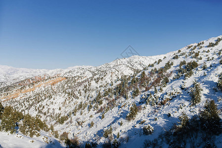 乌兹别克斯坦天山在寒冷的图片