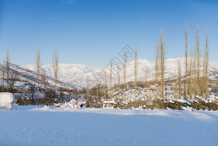 乌兹别克斯坦寒冷的雪天图片