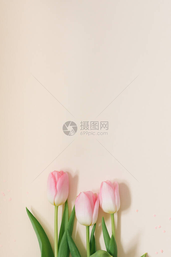 白色背景上的淡粉色郁金香花束图片
