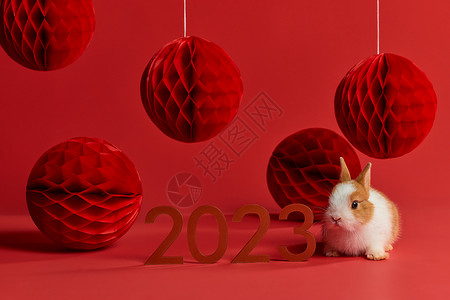 可爱新年兔年新年装饰背景