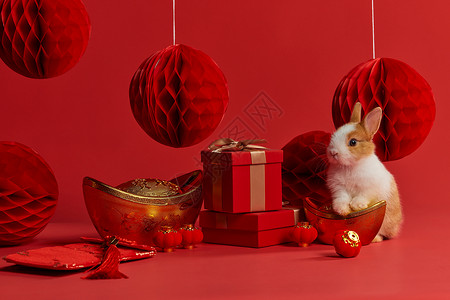 圣诞元旦狂欢季兔年兔子新年装饰背景
