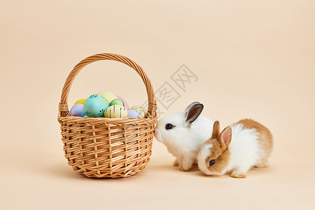 可爱彩蛋复活节彩蛋小兔子背景