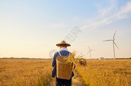 手绘农民背影农民秋收背影背景