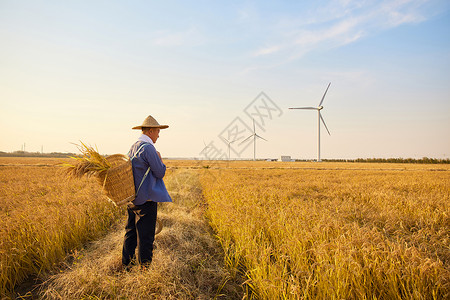 手绘农民背影秋季农民站在稻田背影背景