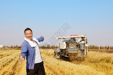 稻田里开心丰收的农民伯伯图片