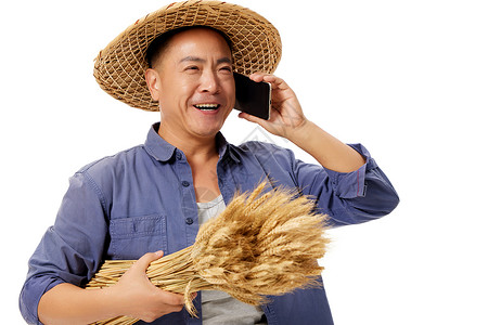 劳动节农民伯伯农民伯伯秋收抱着水稻打电话背景