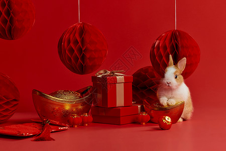 兔年兔子新年元宝装饰背景图片