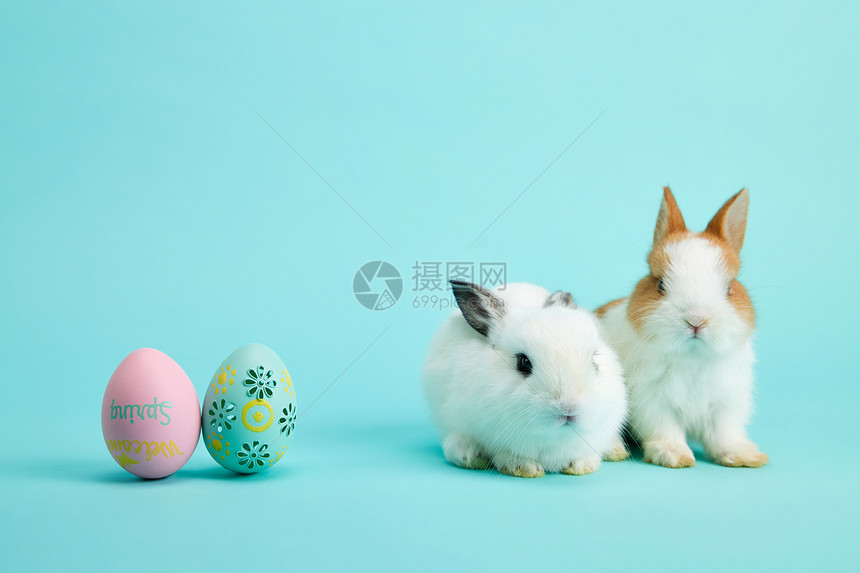 可爱复活节彩蛋小兔子图片