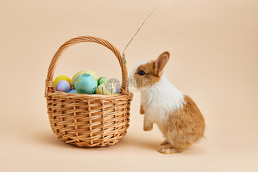 复活节彩蛋与可爱小兔子图片