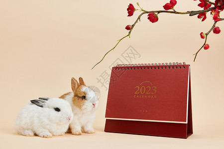 2023新年兔年日历图片