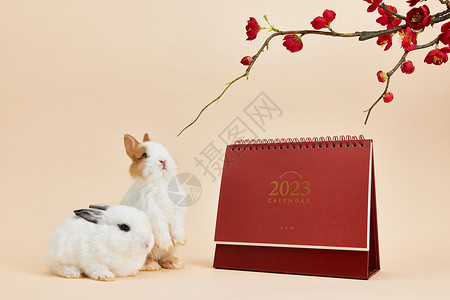 手绘兔年日历2023年新年兔年日历背景