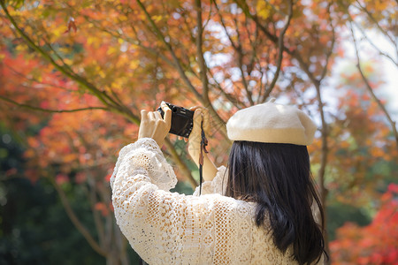 秋天枫叶林中拍照的女生背影图片