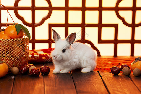 兔年喜庆新年静物图片