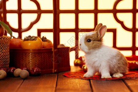 兔年门框装饰春节喜庆兔子静物背景背景