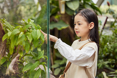 在植物园里游玩的小女孩背景图片