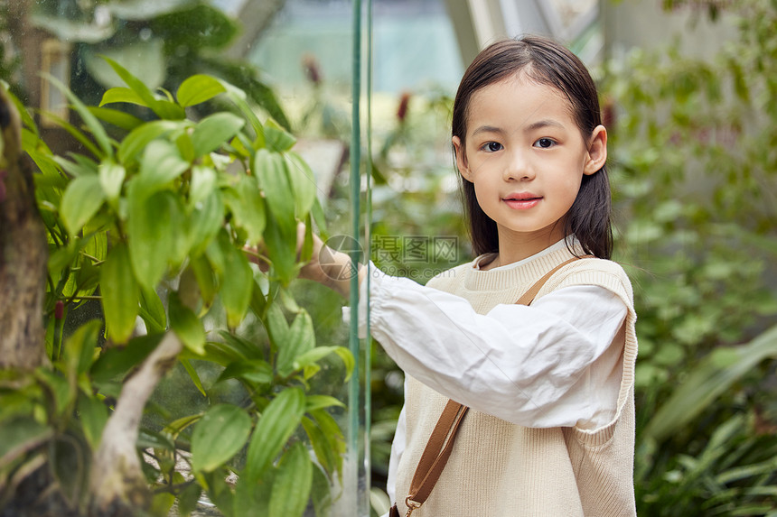 在植物园郊游的小女孩图片