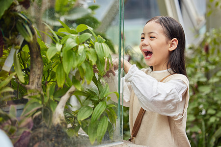 在植物园游玩的小女孩背景图片