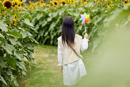 向日葵花田里玩耍的小女孩背影高清图片