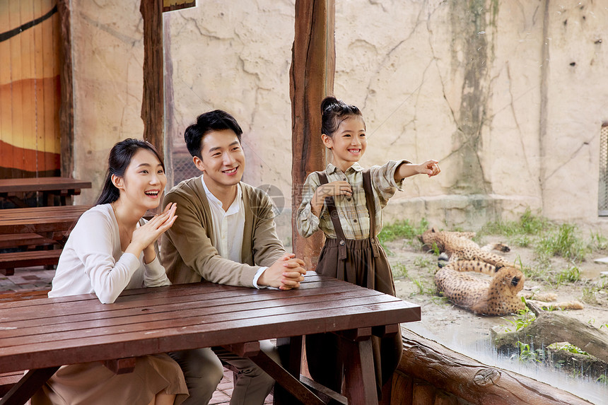 在动物园观赏猎豹的幸福家庭图片