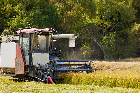 稻田收割机机器稻子高清图片素材