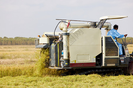农民使用收割机机器丰收高清图片素材