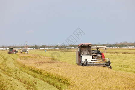 稻田收割机机器庄稼高清图片素材