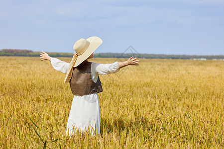 秋分稻草人穿着连衣裙走在稻田里的美女形象背景