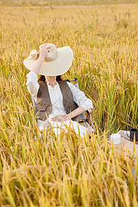 秋季女性稻田休闲高清图片